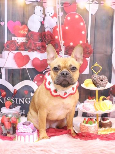 20250223EVEちゃん